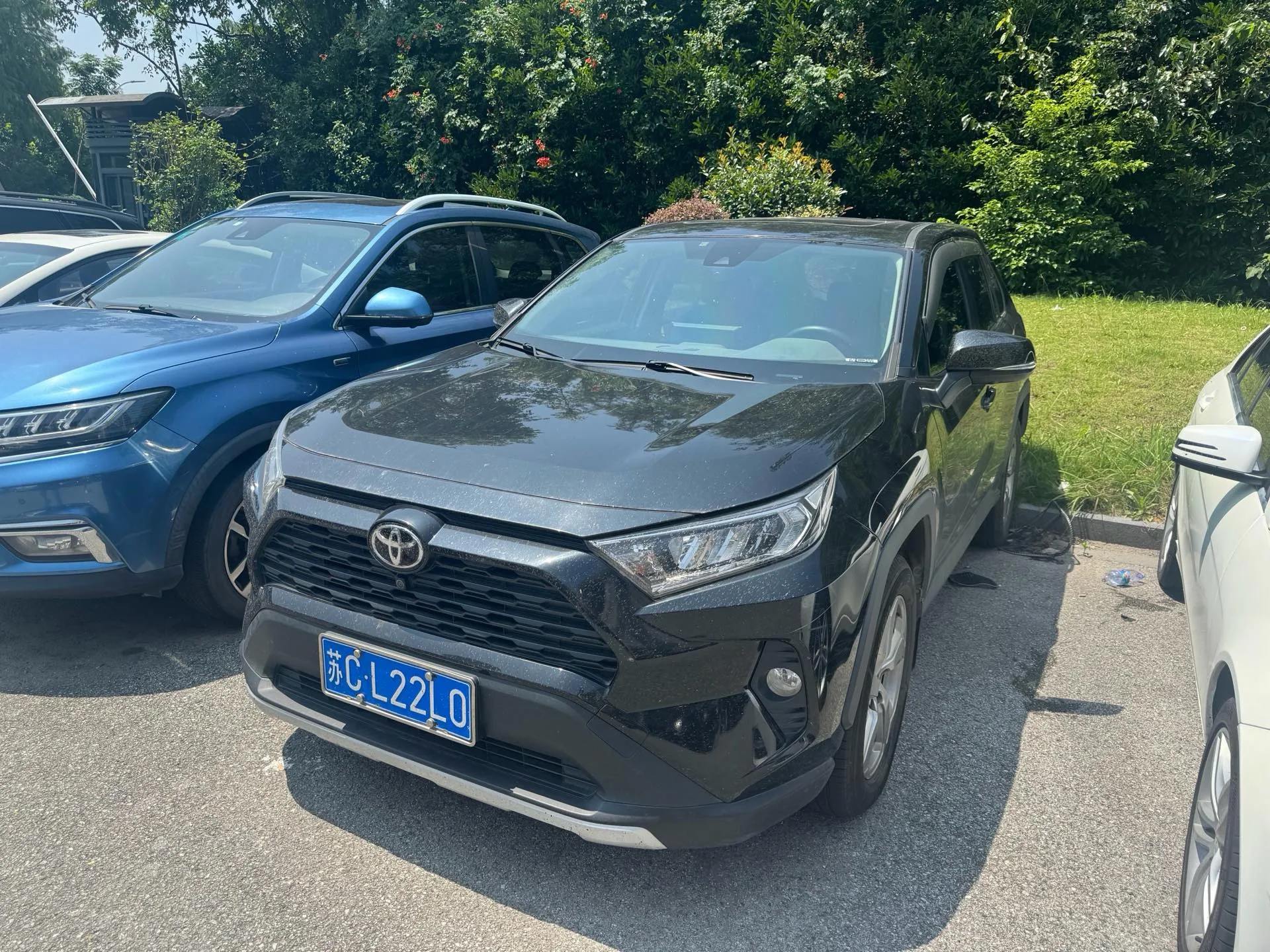 2021 RAV4 2.0L CVT Front-Wheel Drive Style PLUS Edition
