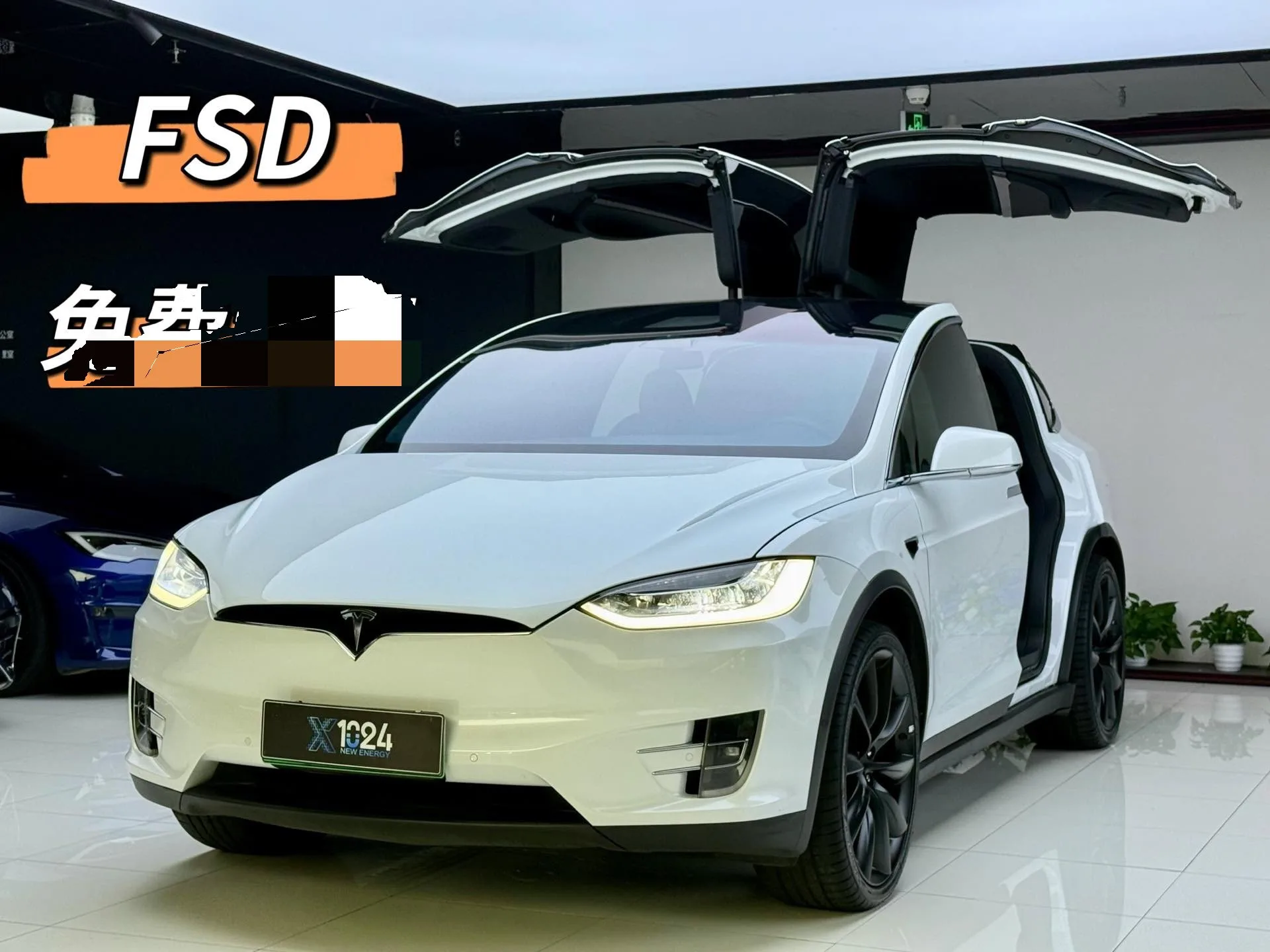 2019 Model X Long Range