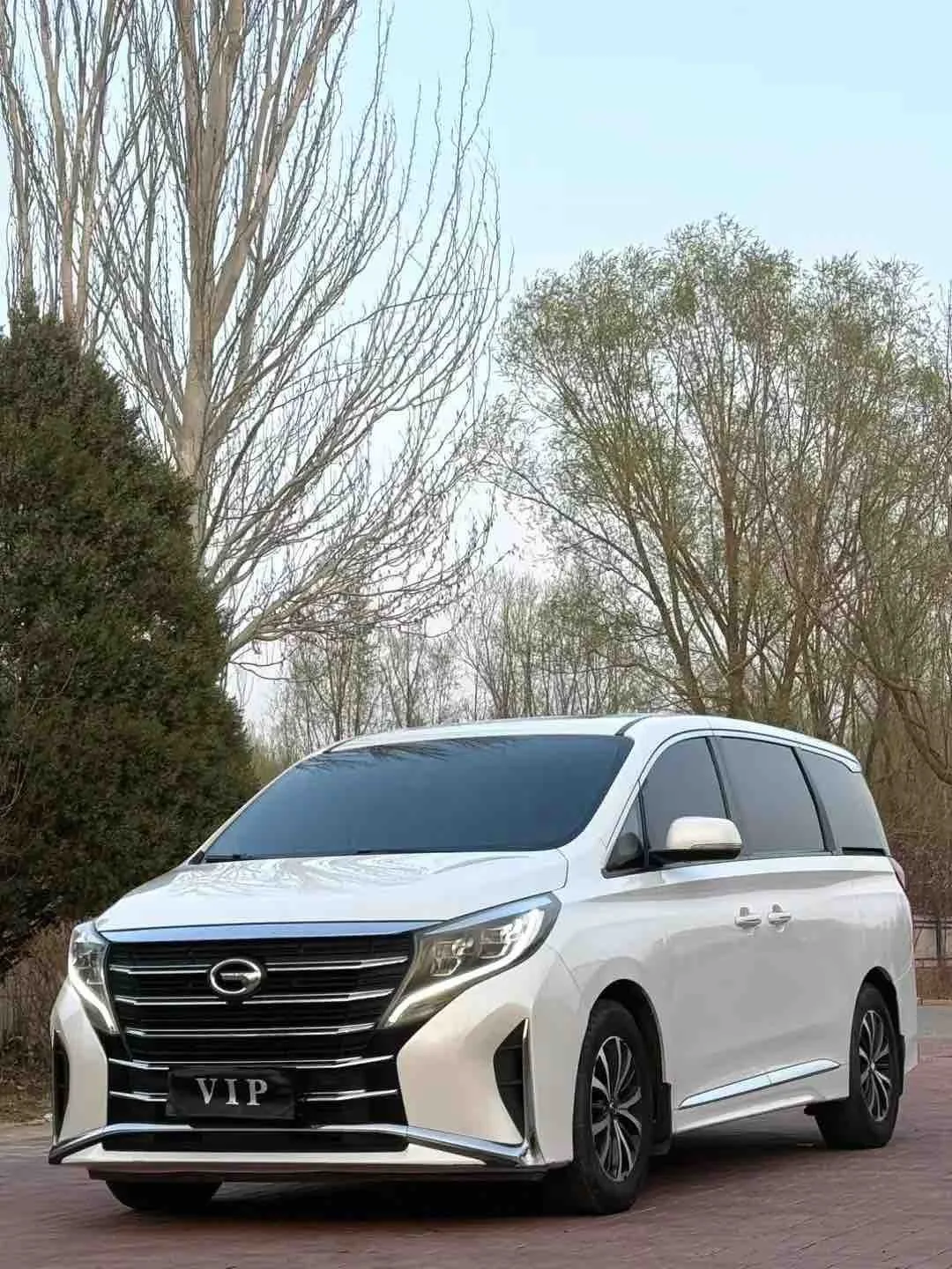 Trumpchi M8 2021 Leading Series 390T Luxury Edition