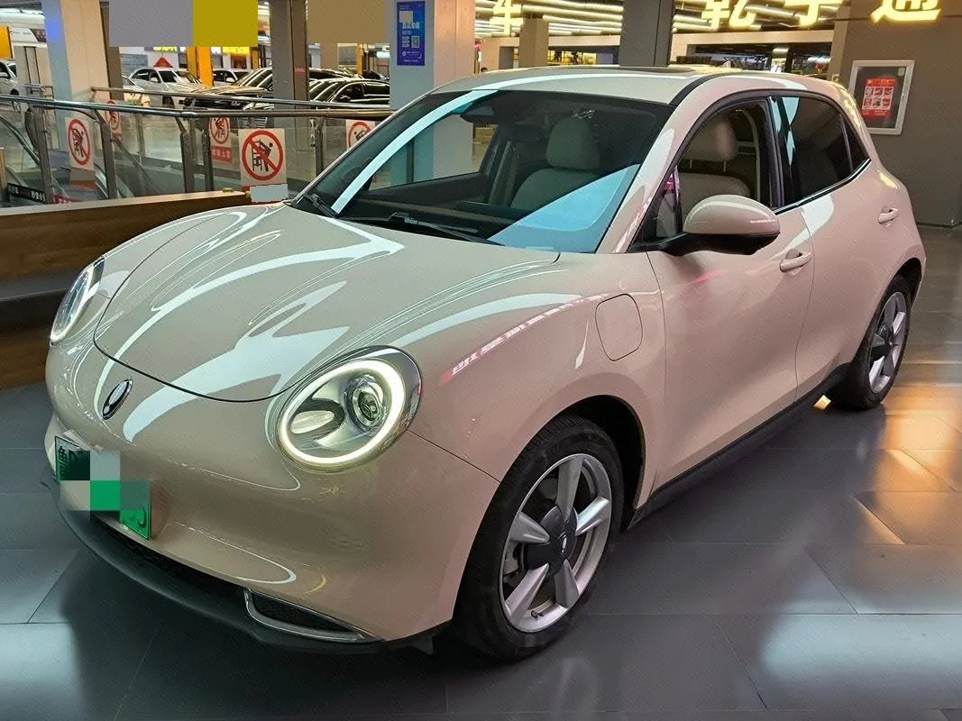 Eula Good Cat 2022 Model, 400 km Standard Range, Premium Edition, Ternary Lithium Battery