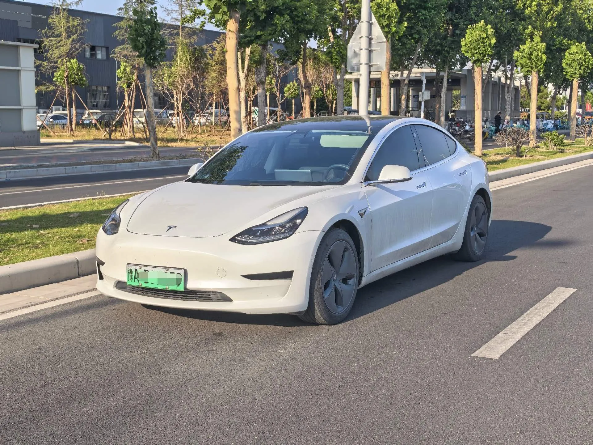 2020 Model 3 Facelift: Standard Range RWD Plus