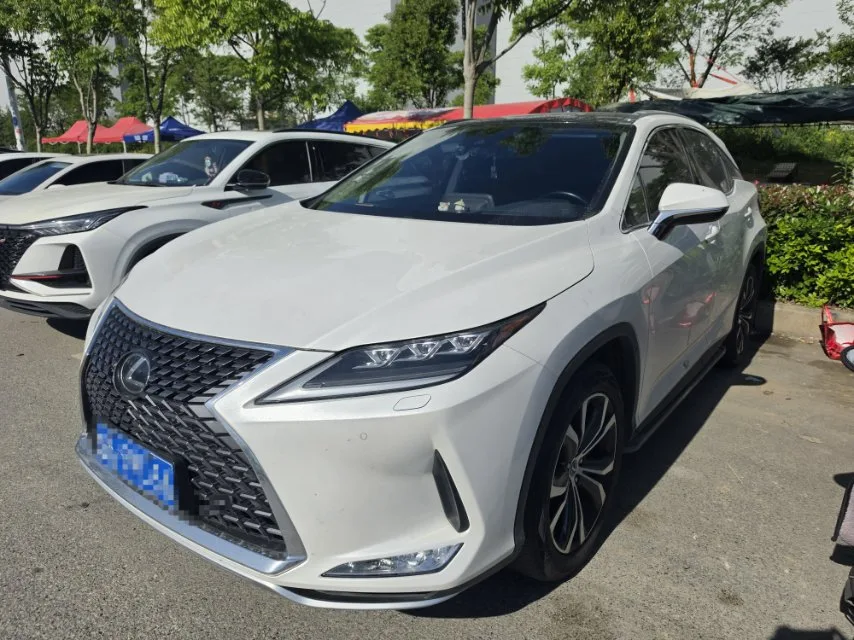 Lexus RX 2020 300 AWD Elegant Edition (China V Emission Standard)