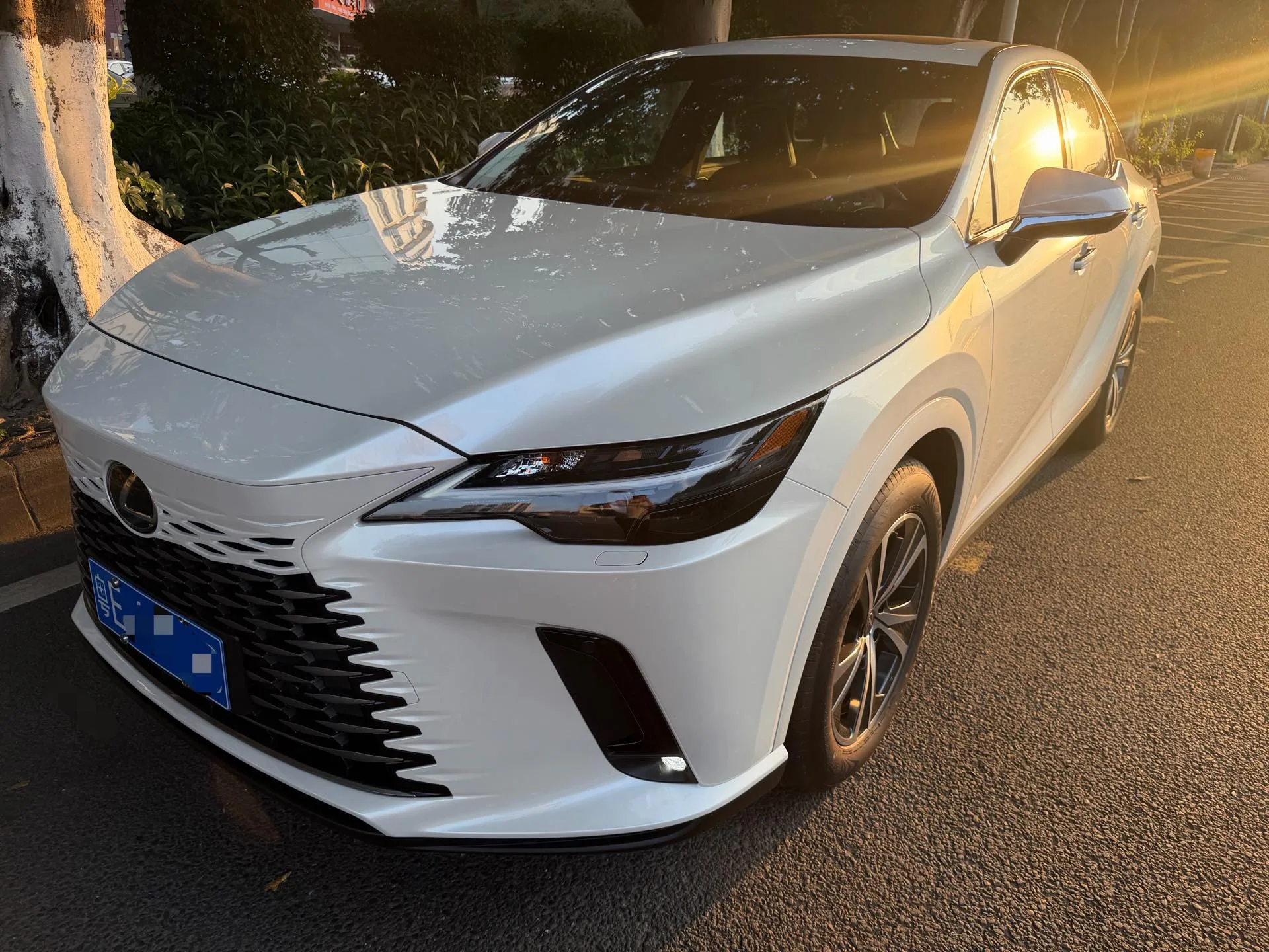 Lexus RX (Imported) 2026 RX300 2.0T AWD Luxury Edition Automatic Transmission