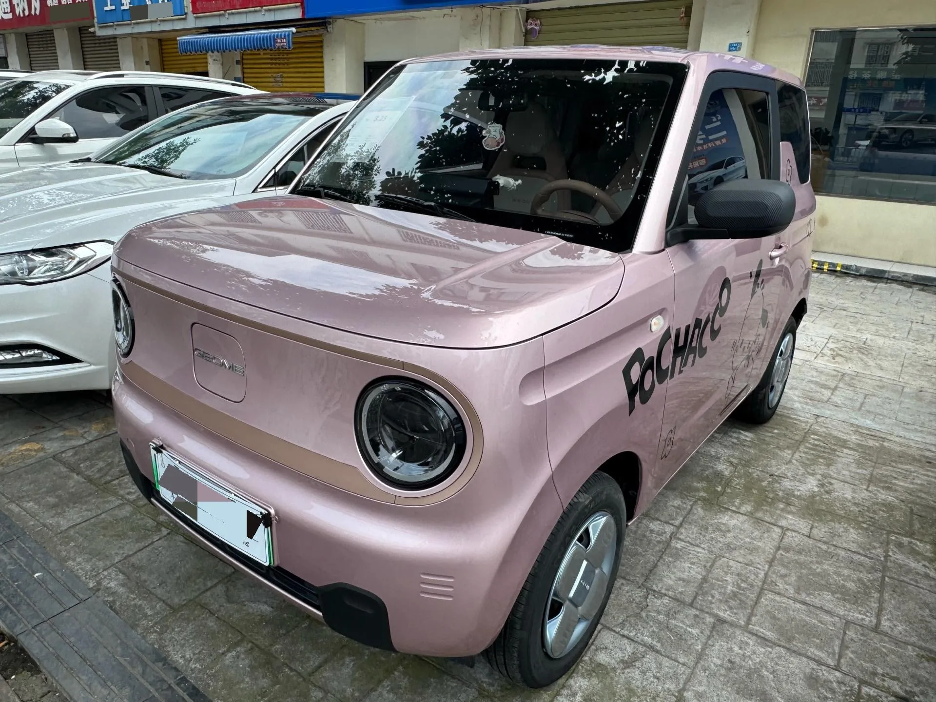 Panda 2024 Panda Mini 200km Endurance Bear