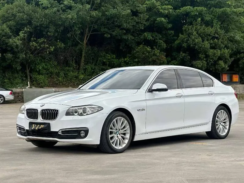 2017 BMW 5 Series 525Li Luxury Design Package