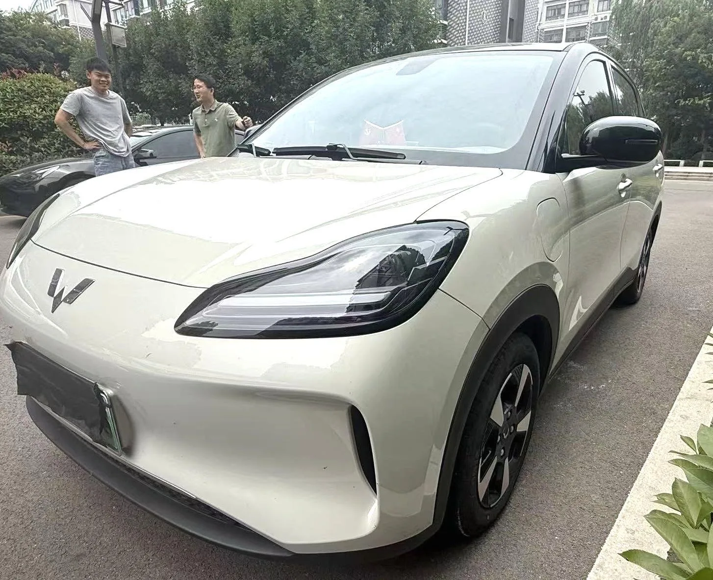 Wuling Bingo PLUS 2024 510km Flagship Edition