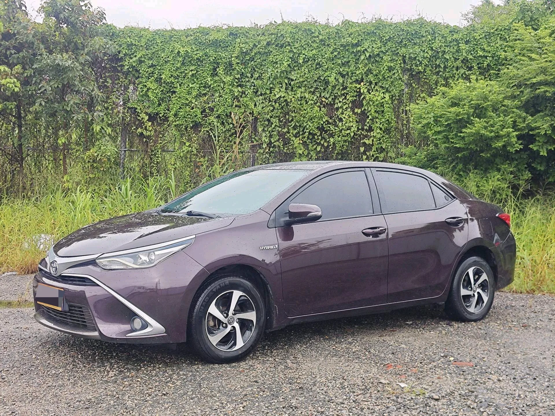 2017 Toyota Corolla Hybrid 1.8H GS E-CVT Elite Sunroof Edition (National V Emission Standard)
