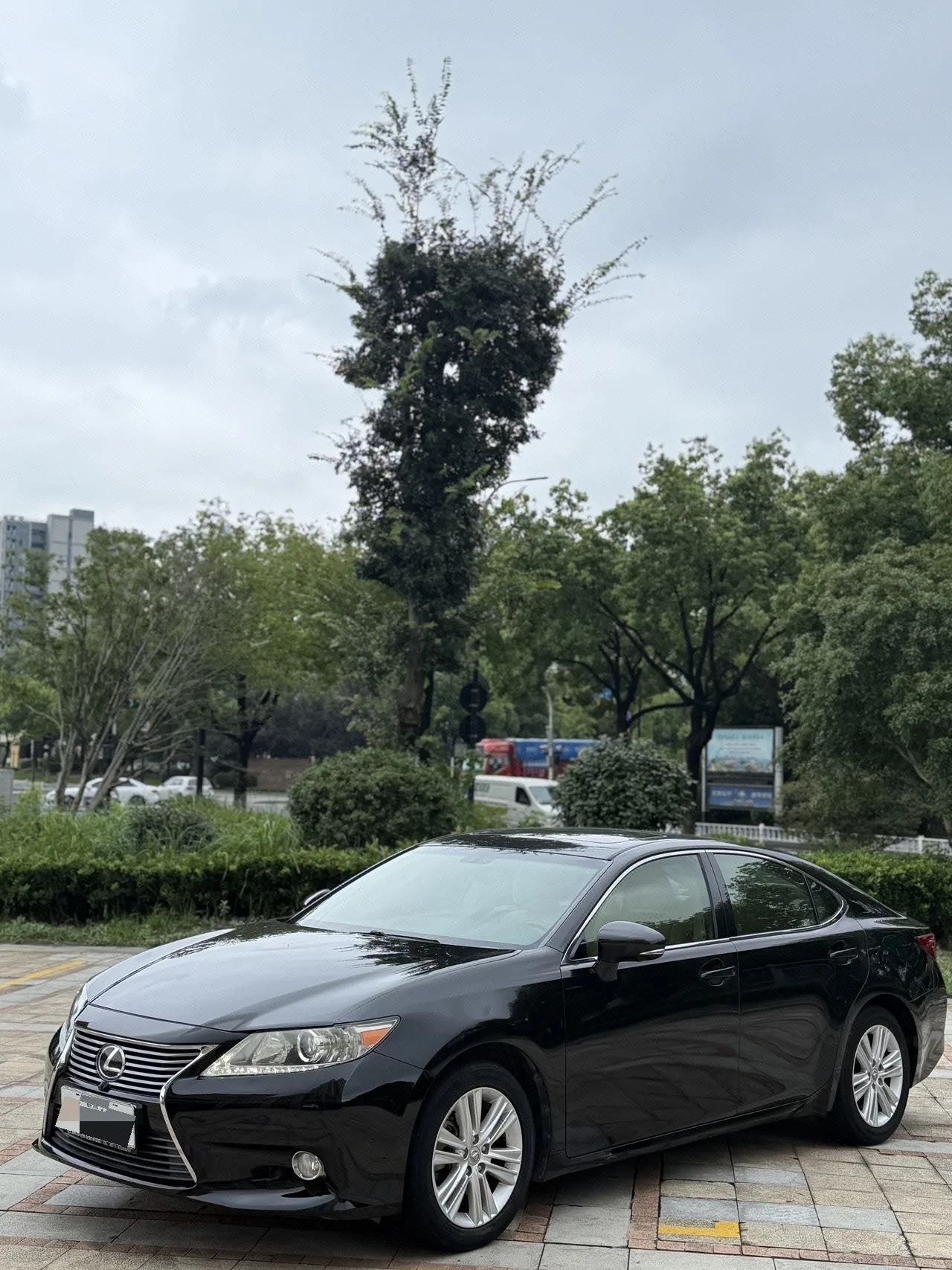 Lexus ES 2013 250 Elite Edition