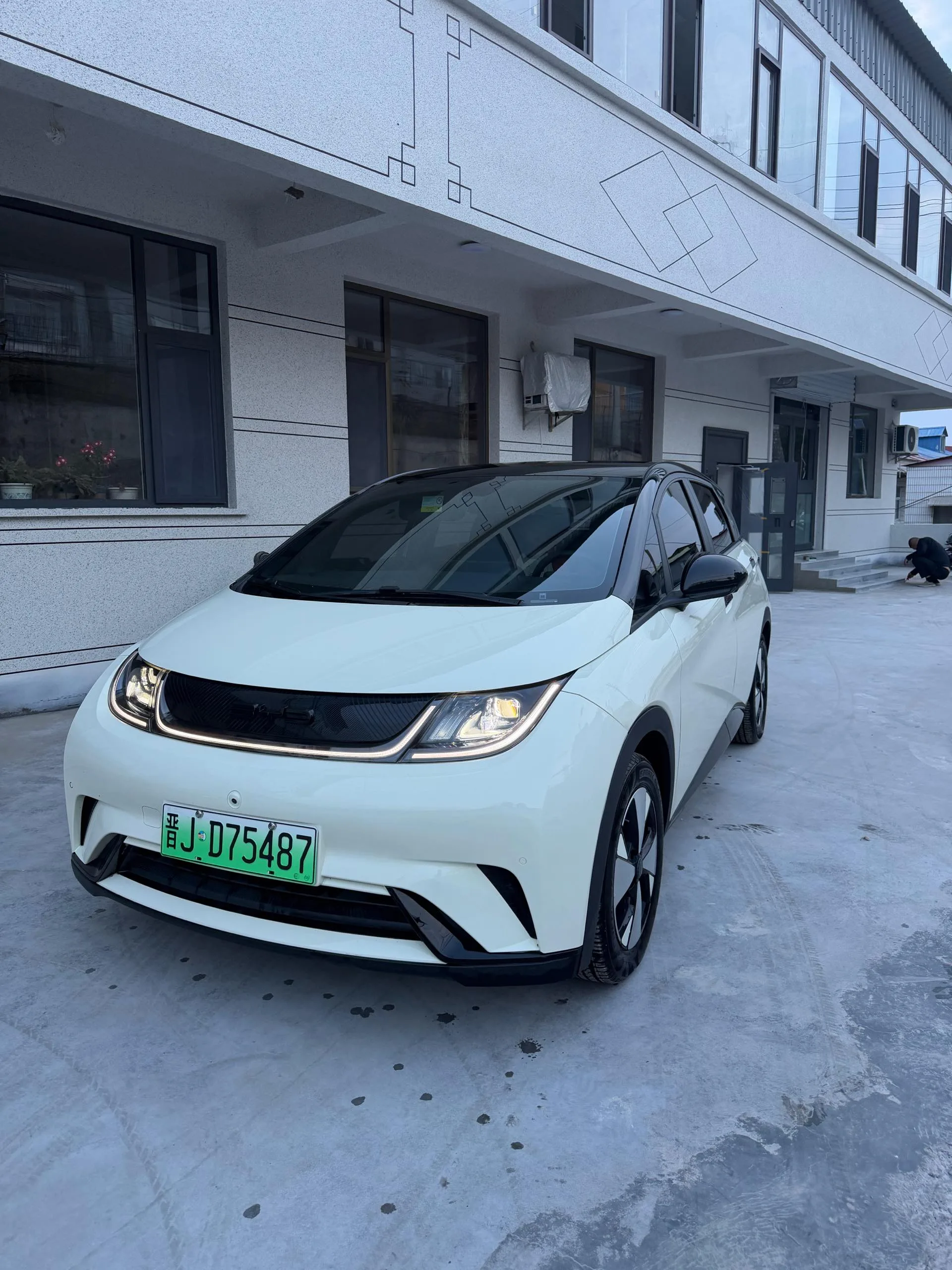 BYD 2023 Dolphin 420km Fashion Edition Automatic