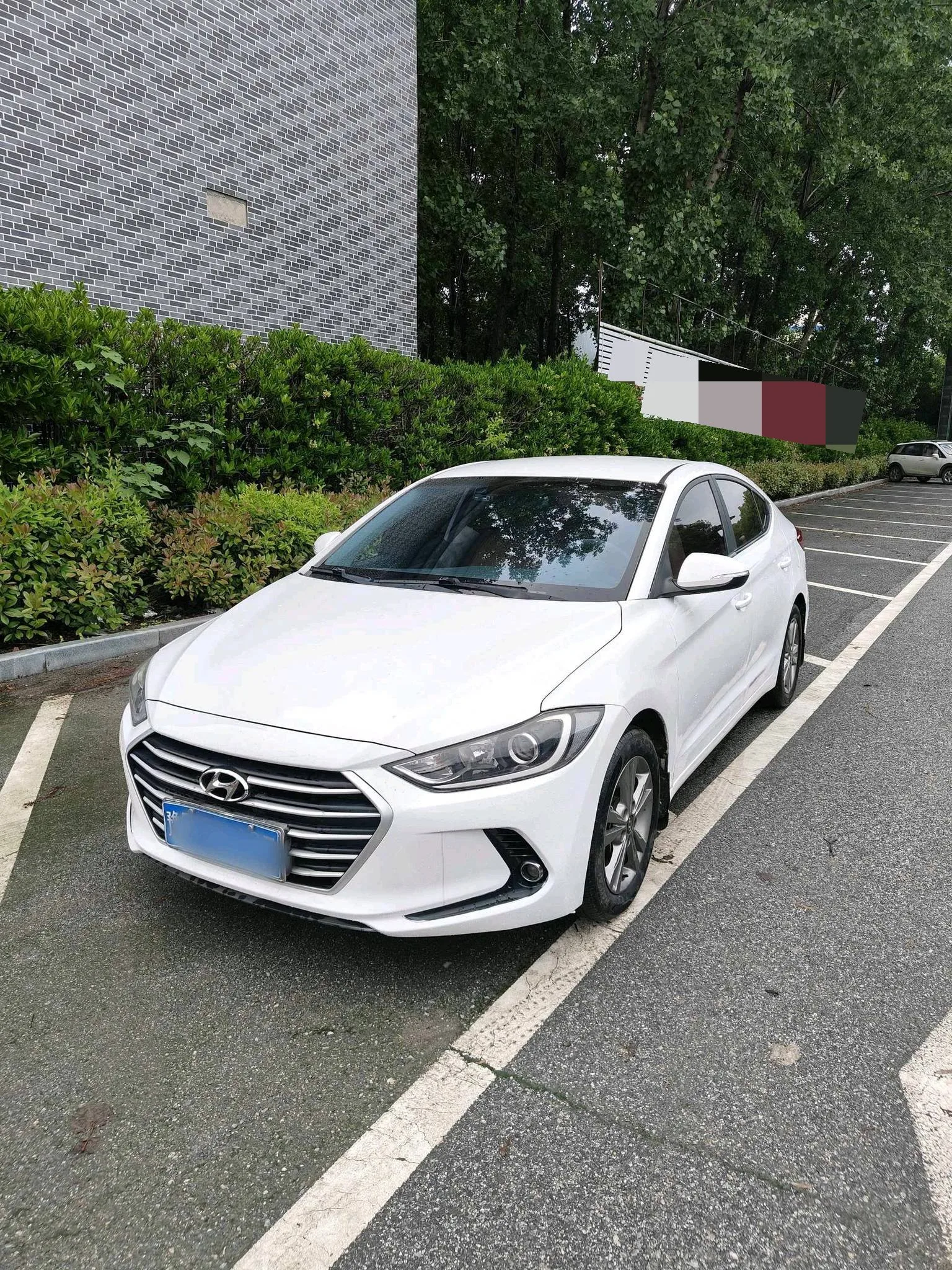 Hyundai Elantra 2016 1.6L Automatic Smart Youth Edition