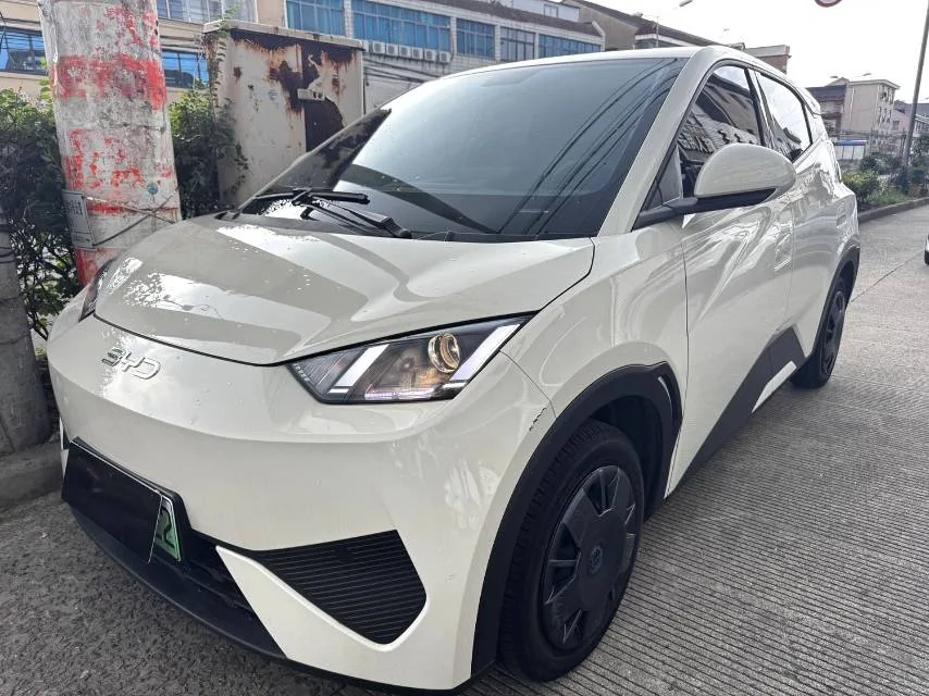 BYD 2025 Seagull Smart Driving Edition 305km/h Vitality Edition Automatic