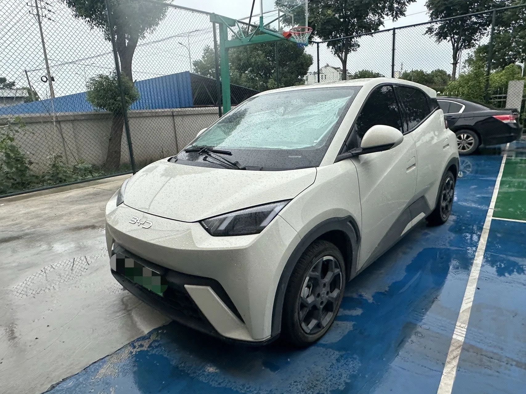 BYD 2025 Seagull 305km/h Freedom Edition Automatic