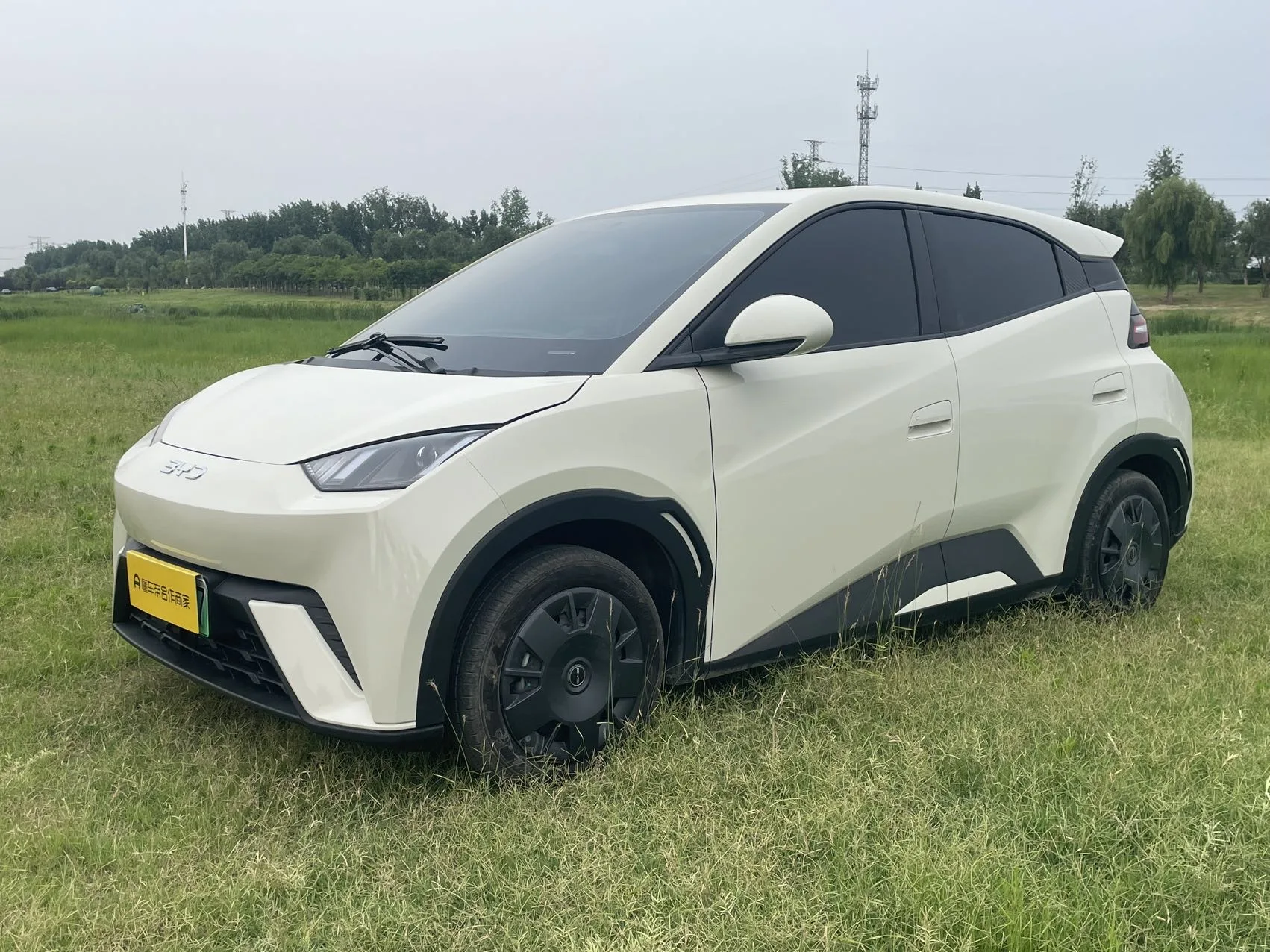 BYD 2023 Seagull Vitality Edition Automatic