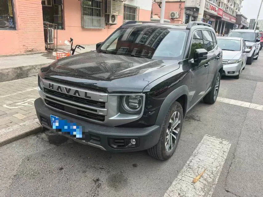 Haval 2024 Big Dog 1.5T Border Collie Edition Automatic