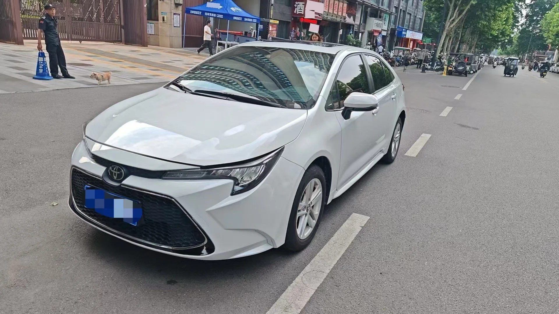 Levin 2019 185T CVT Luxury Edition (National V Emission Standard)