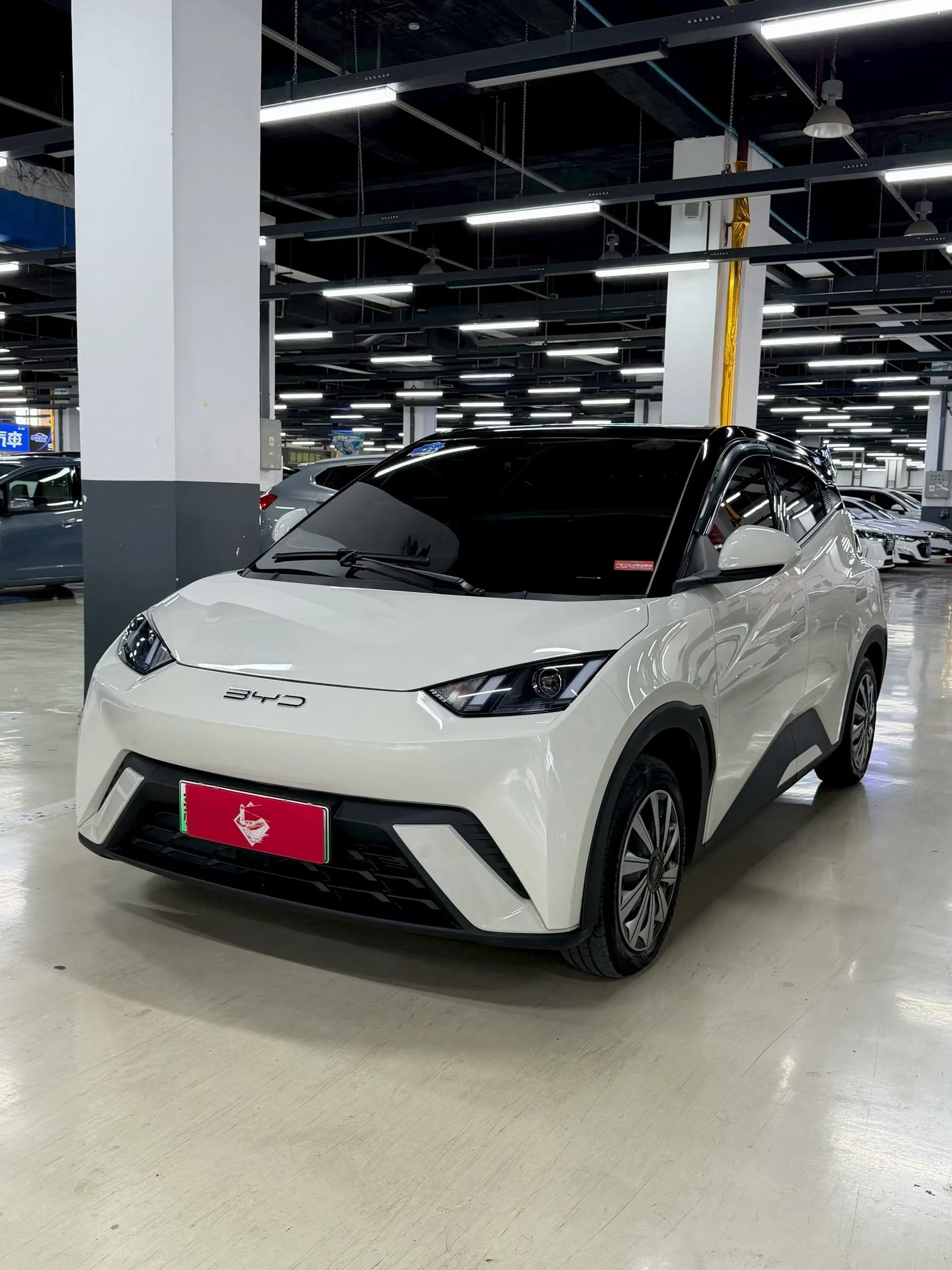 BYD 2023 Seagull Vitality Edition Automatic