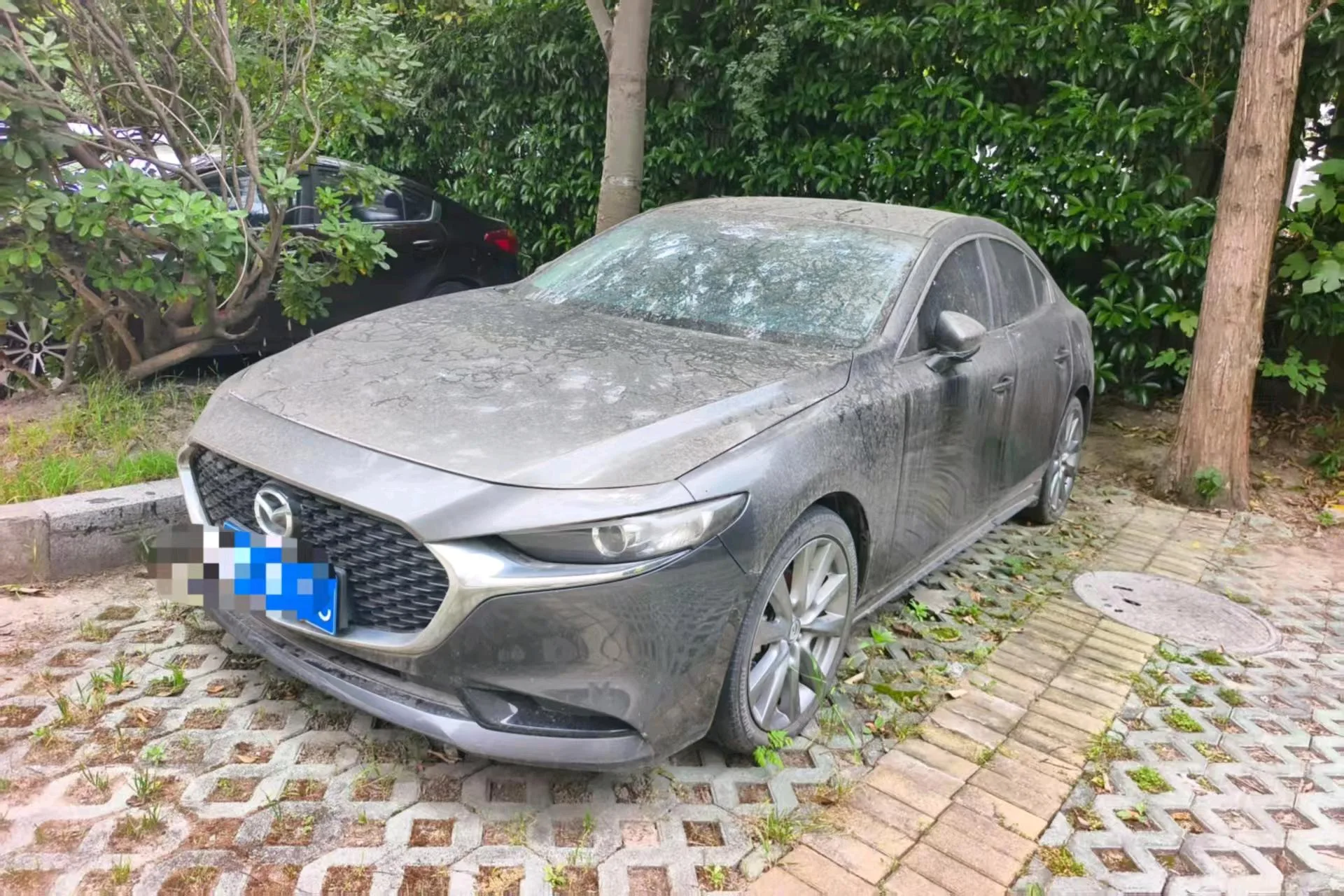 Mazda3 Скажи мне 2023 2,0 l Автоматический Премиум Версия