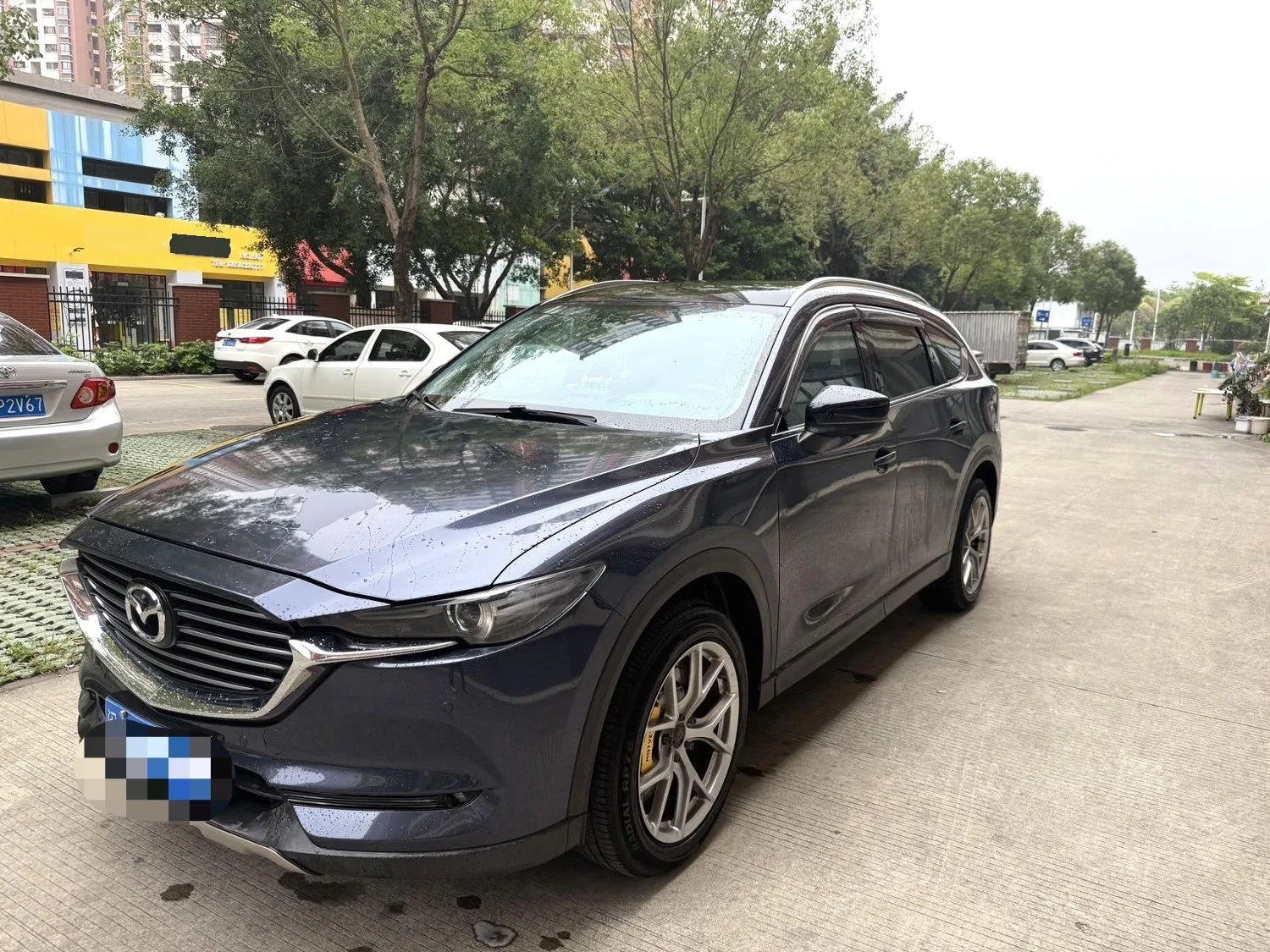 2019 Mazda CX-8 2.5L 2WD Luxury Automatic